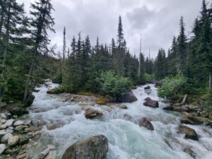 Mehr über den Artikel erfahren 27.06. Glacier Nationalpark