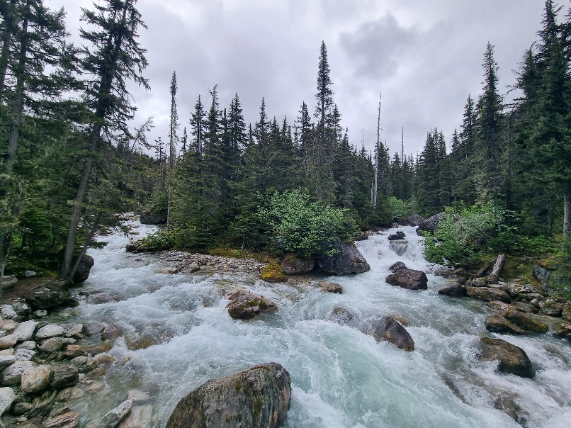 Mehr über den Artikel erfahren 27.06. Glacier Nationalpark