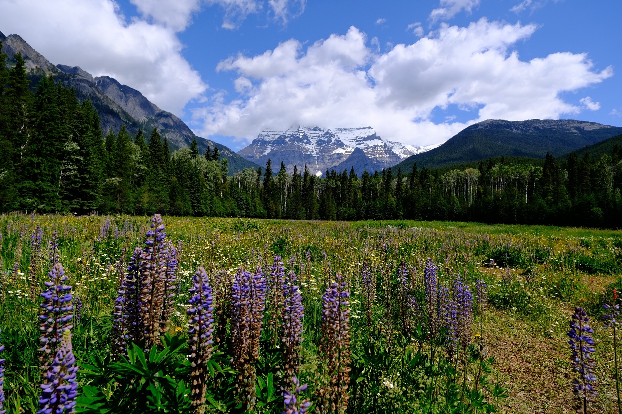 Mehr über den Artikel erfahren 04.07. Blue River