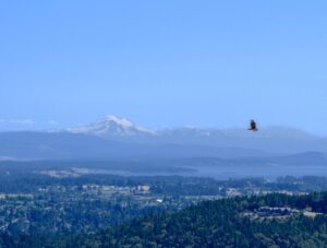 Mehr über den Artikel erfahren 11.07. Nanaimo