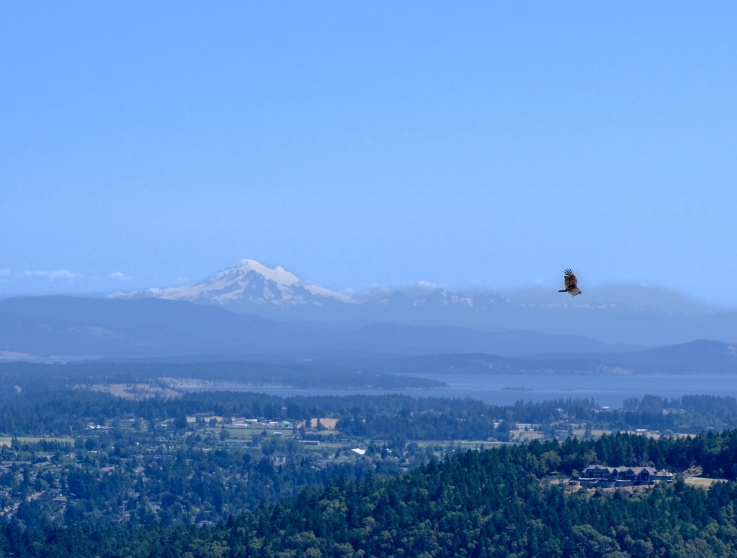 Mehr über den Artikel erfahren 11.07. Nanaimo