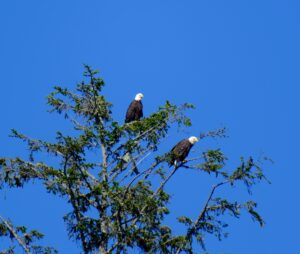 Mehr über den Artikel erfahren 13.07. Pacific Rim