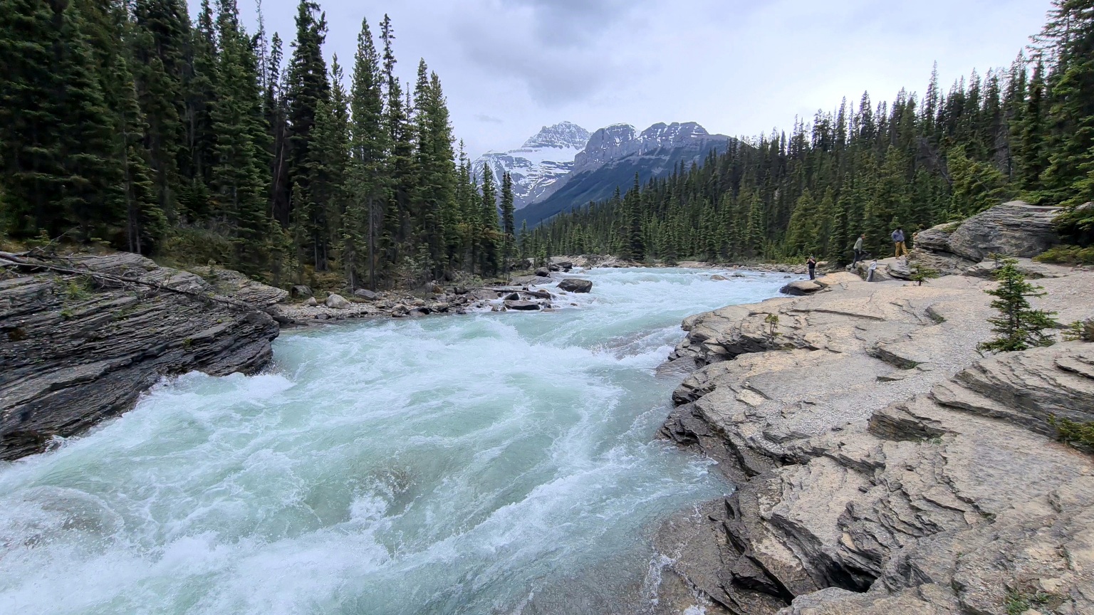 Mehr über den Artikel erfahren 31.06.Icefields Parkway
