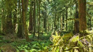 Mehr über den Artikel erfahren 12.07. Pacific Rim