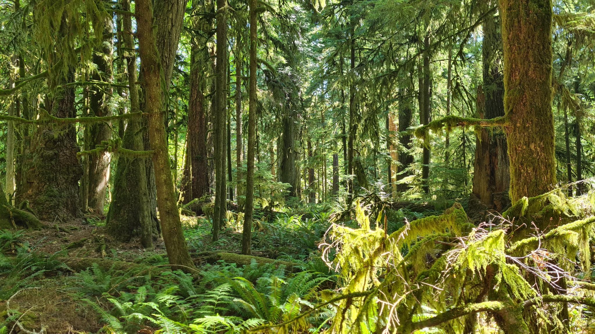 Mehr über den Artikel erfahren 12.07. Pacific Rim