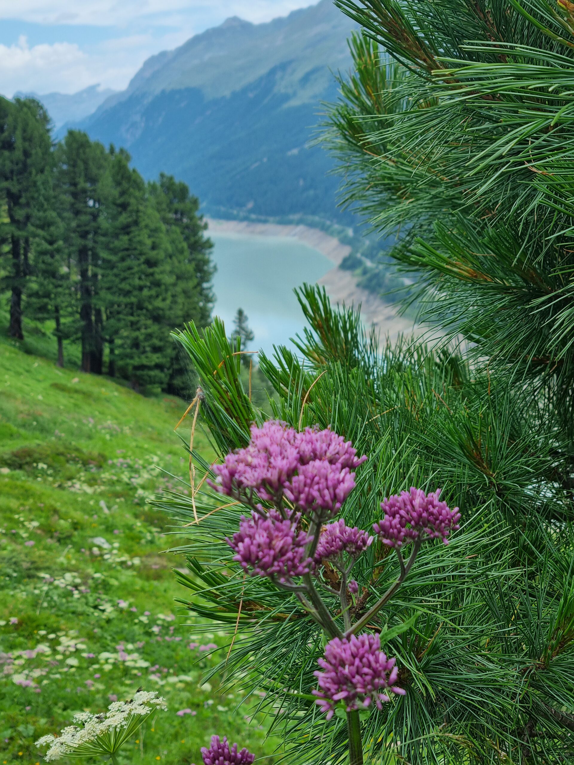 Mehr über den Artikel erfahren 05.07. Wanderung vom Gepatschhaus zur Nassereinalpe