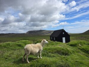 Mehr über den Artikel erfahren 03.07. Geothermalgebiet Seltún