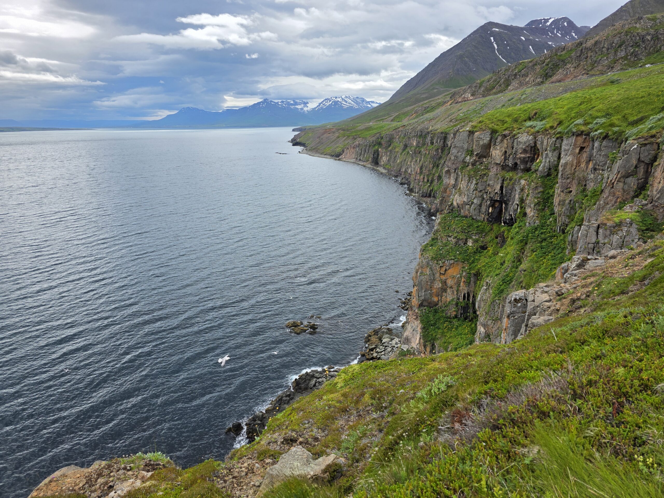 Mehr über den Artikel erfahren 13.07. Nordküste